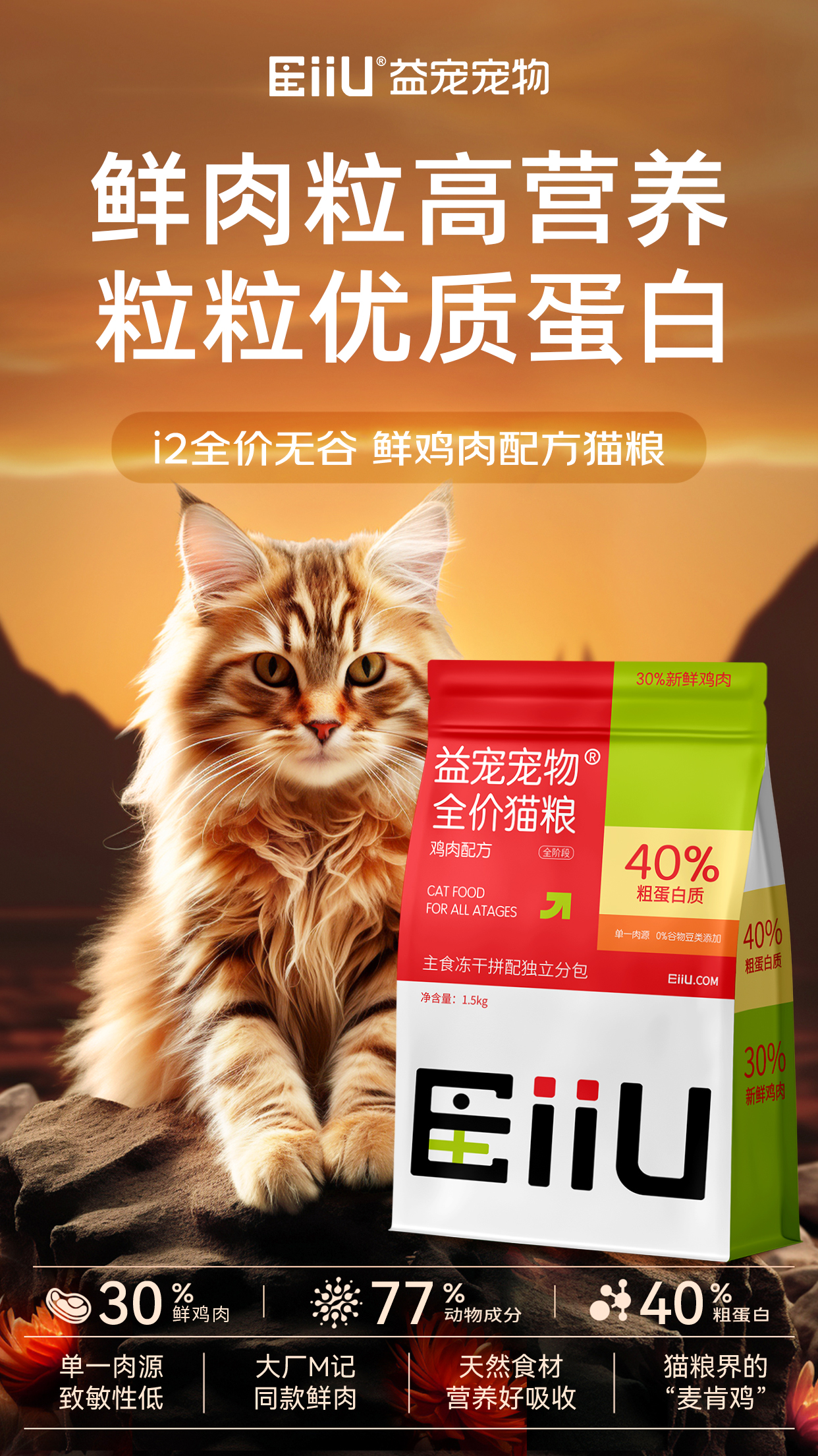 宠物生活篇_宠物的生活常识_宠物生活方式
