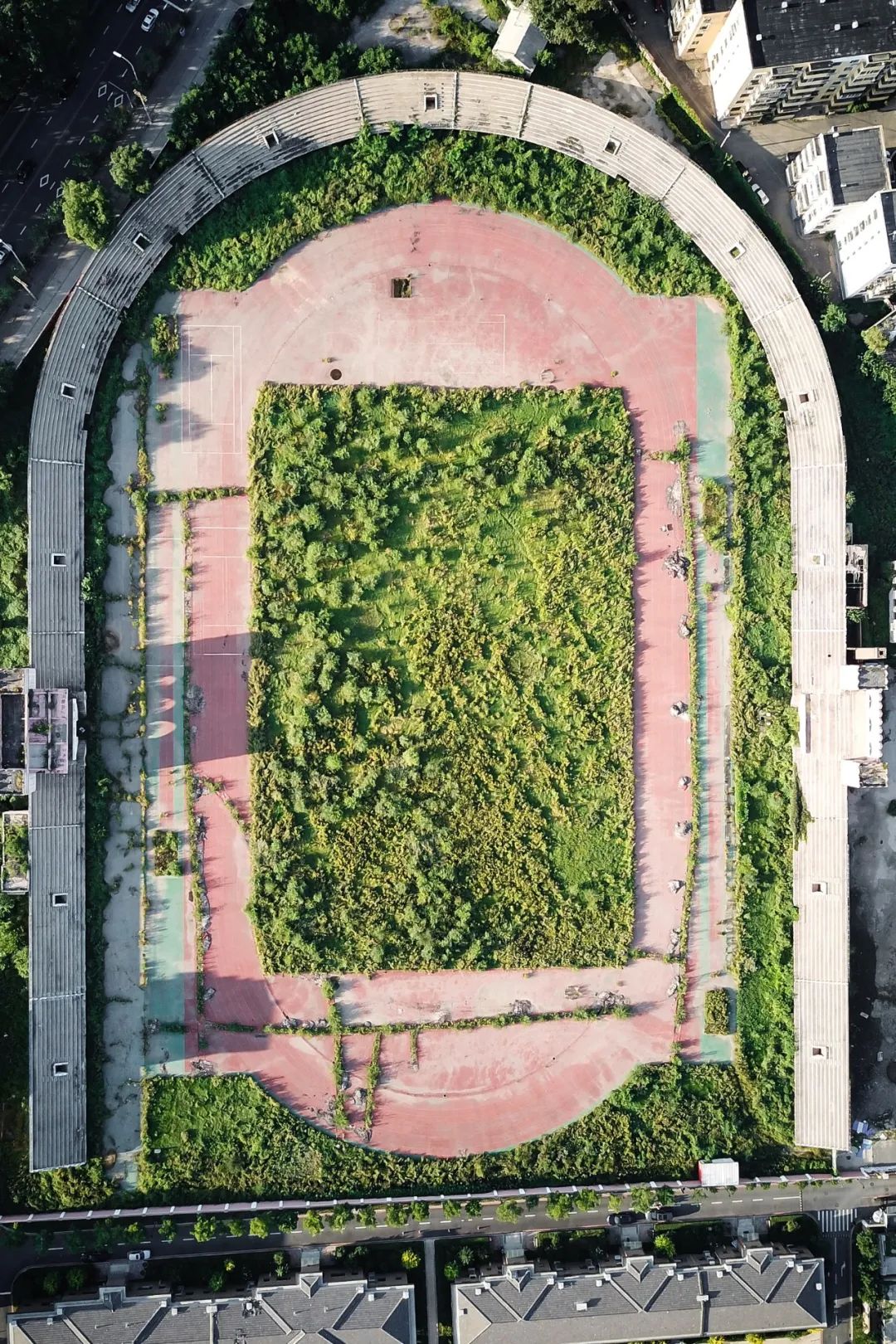 沈阳工业大学游泳比赛冠军_沈阳工业大学校运会_沈阳工业大学游泳馆