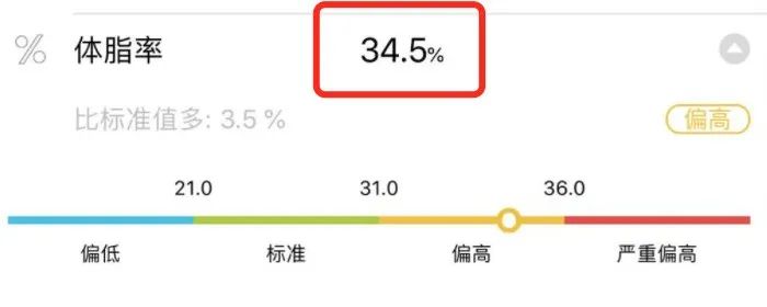 瘦身动力_动感瘦身健身操_健身房运动能瘦嘛